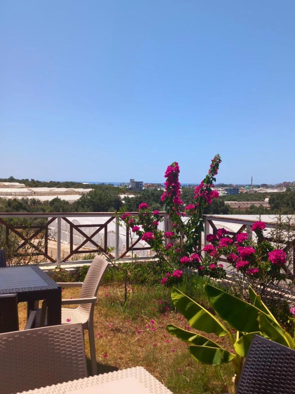 Bu Bungalow Hotel Demre Exteriör bild
